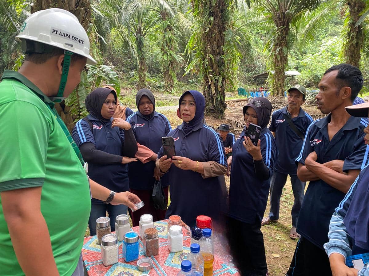 Begini Strategi TAPG Tingkatkan Produksi Petani Sawit