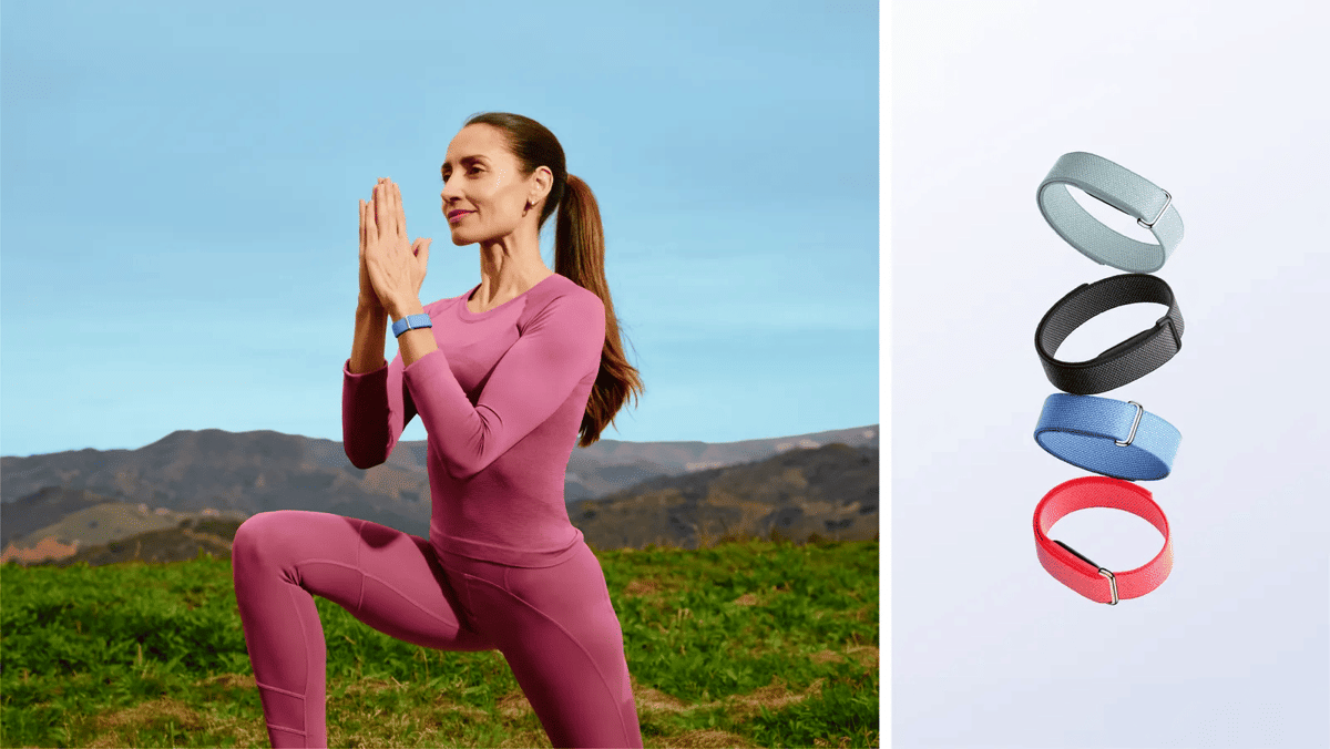 Google Fitbit Air 