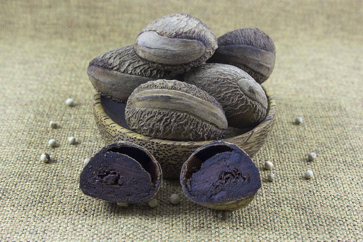 5 Fakta Menarik Keluak, Bahan Pangan Lokal dari Biji Buah Beracun