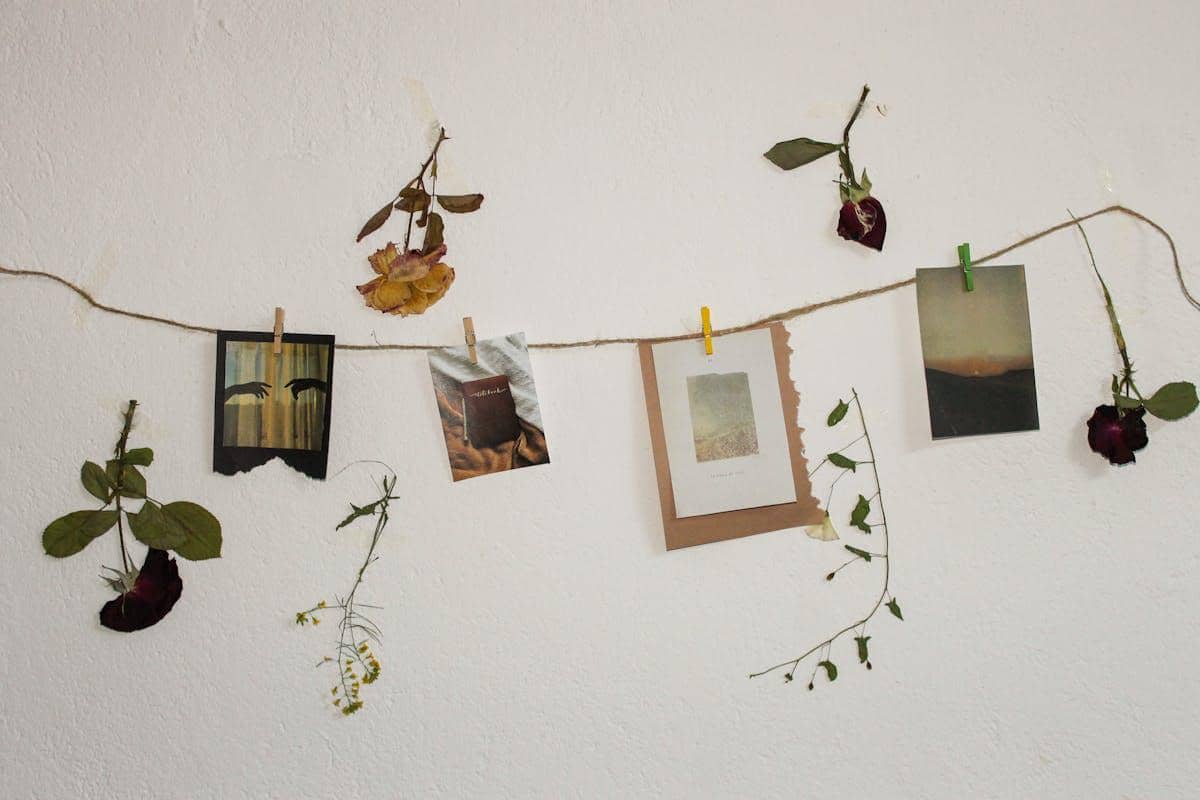 ilustrasi DIY wall art dari tanaman kering 
