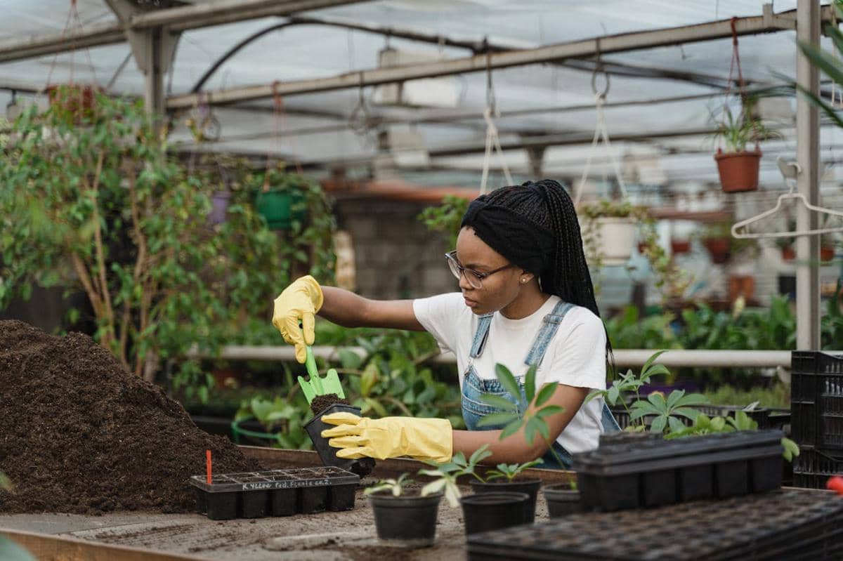 ilustrasi berkebun