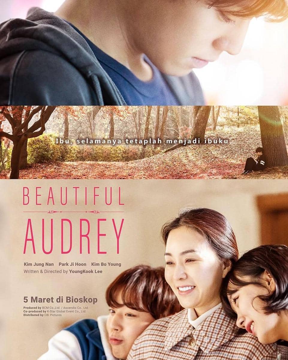 poster film Beautiful Audrey