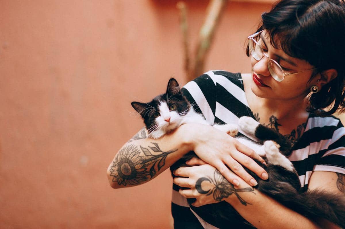 Slow Living ala Kucing: Pelajaran Hidup yang Diam-diam Menenangkan