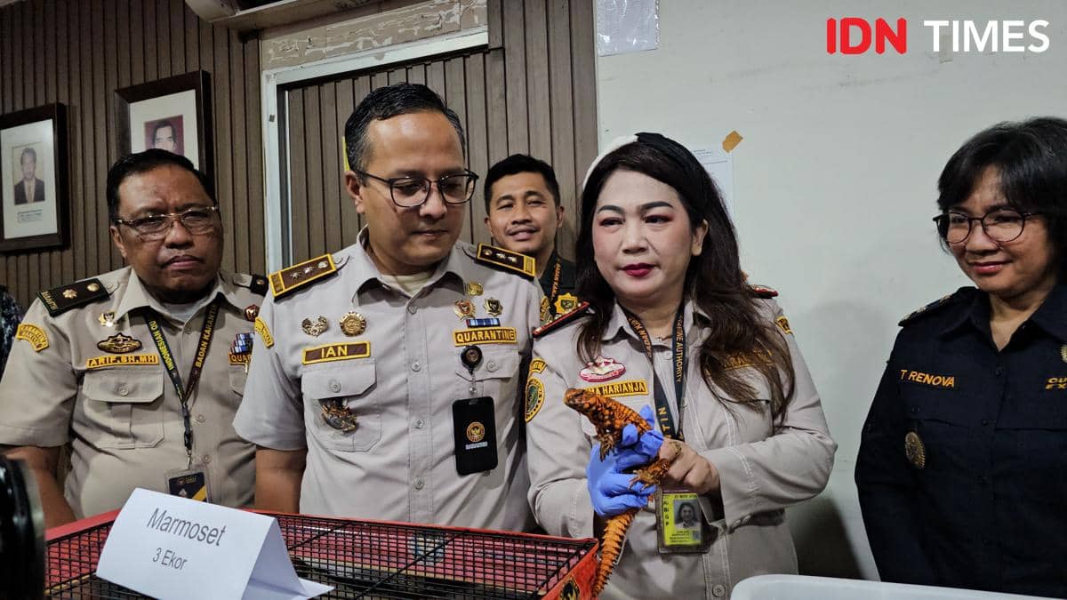 Selundupkan Hewan Eksotis dari Thailand, WNI Ditangkap di Soetta