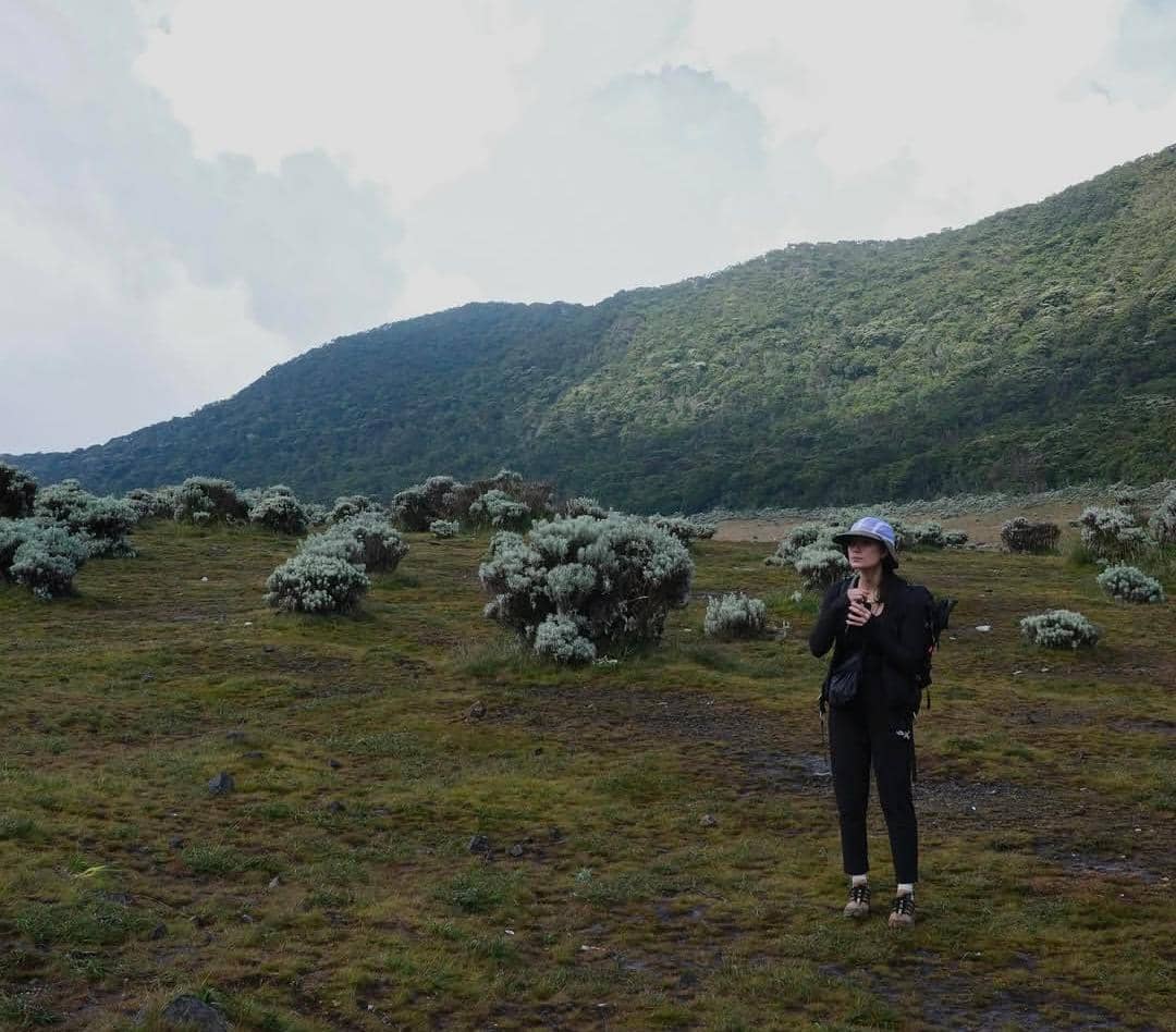 Seorang pendaki berdiri di padang rumput dengan latar pegunungan hijau dan langit berawan di kawasan Gunung Gede.