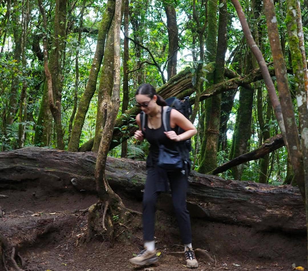 Seorang pendaki mengenakan pakaian hitam dan membawa ransel besar berjalan di jalur hutan tropis Gunung Gede yang rimbun.