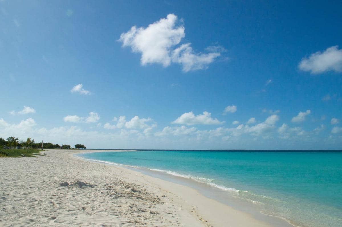 Intip 3 Keindahahan Grand Cayman, Pulau Terbesar di Cayman Island