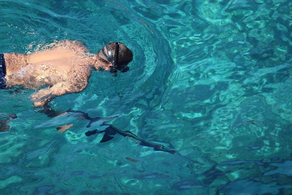 ilustrasi snorkling