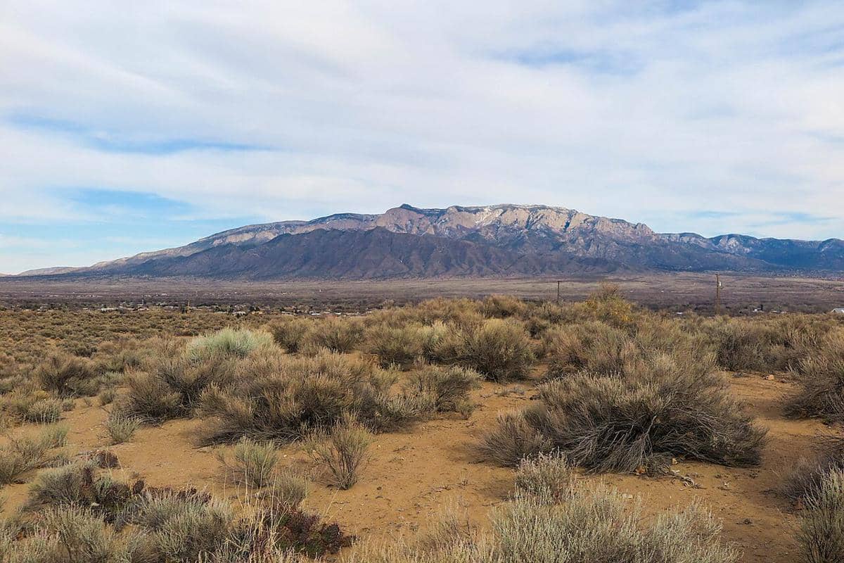 potret Pegunungan Sandia, New Mexico, salah satu spot terbaik untuk pengamatan burung Brown Capped Rosy Finch di alam