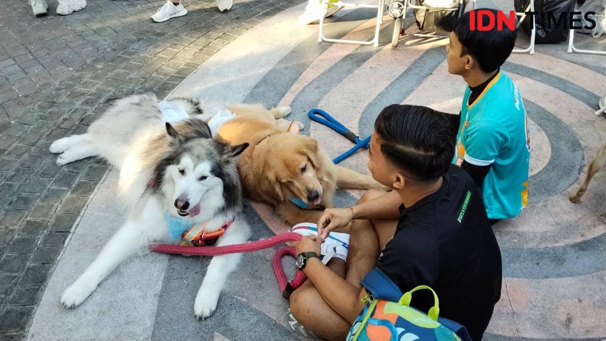 Pet lovers