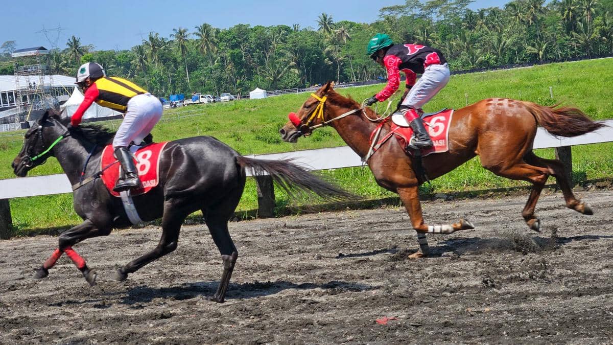 Seru! Triple Crown Serie 2 dan Piala Raja Mangkunegaran, Hidupkan Kembali Tradisi Abad ke-19