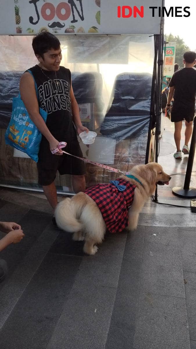 Pet lovers