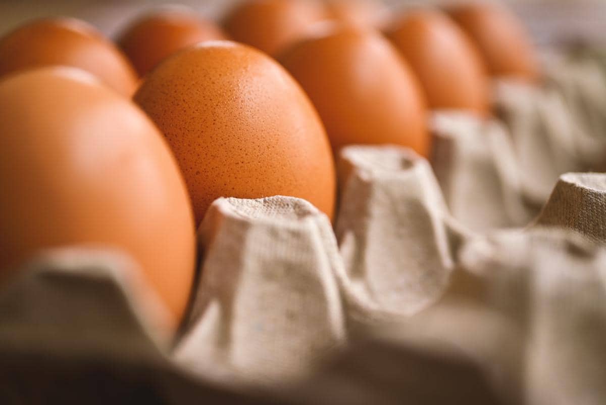 Cangkang telur di dalam wadahnya