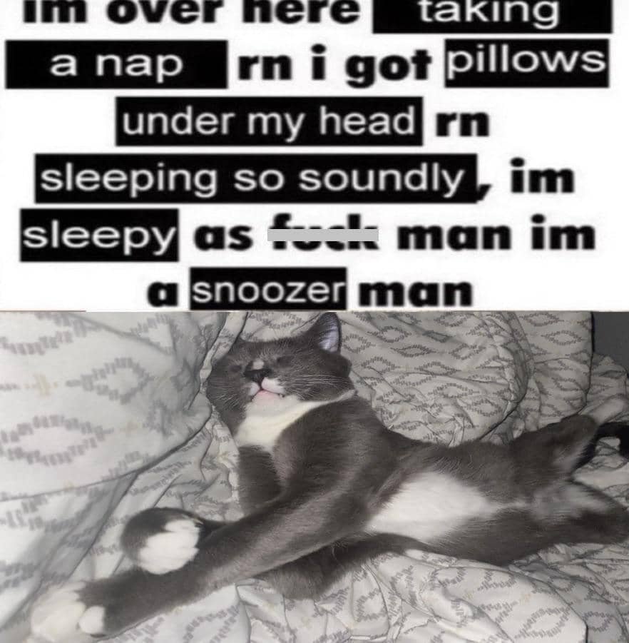 meme kucing ngantuk