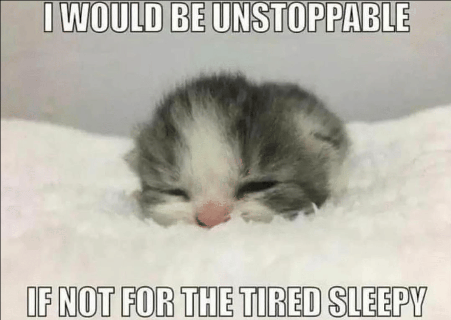 8 Meme Kucing Ngantuk, Kerjaan Mereka Ini Tidur Mulu