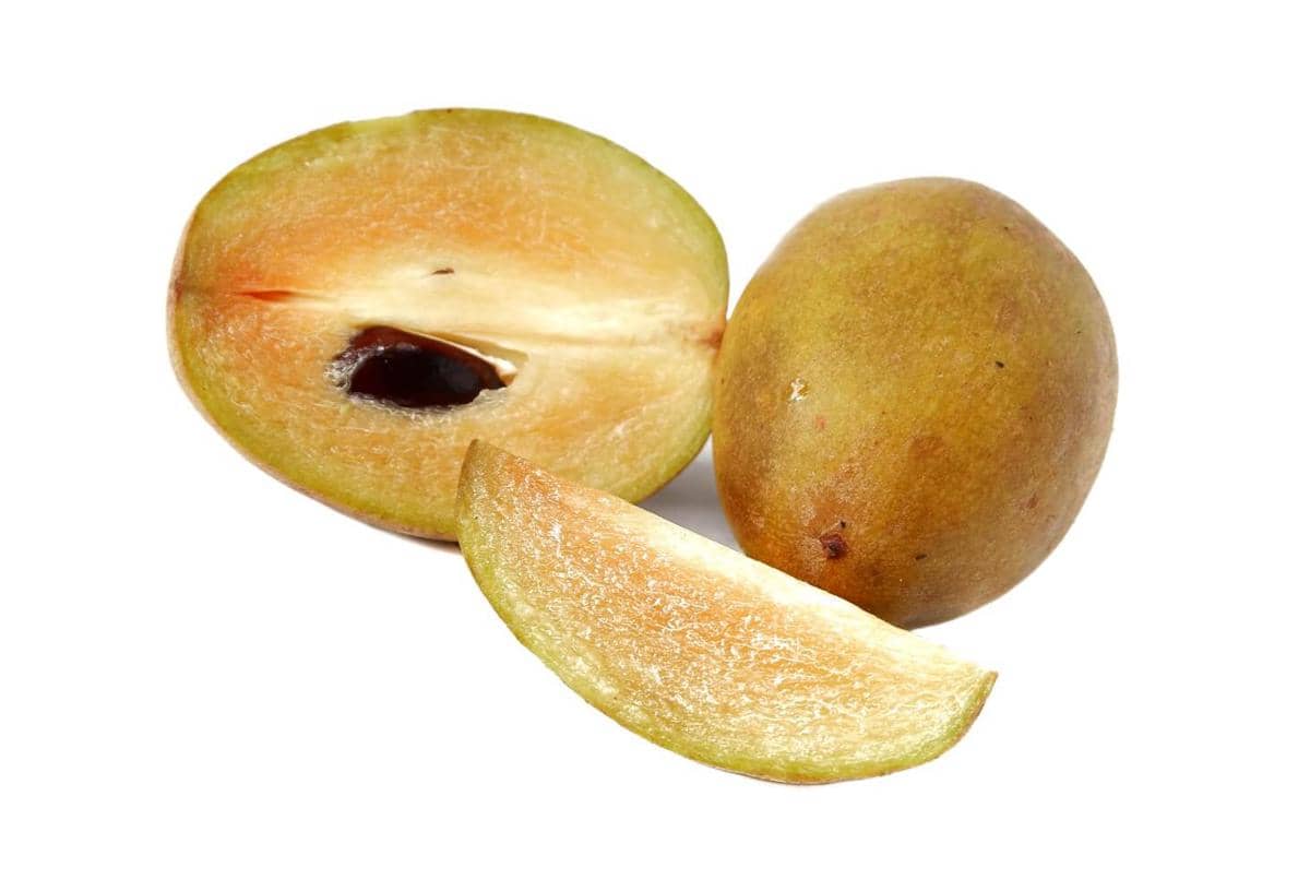 ilustrasi buah sawo
