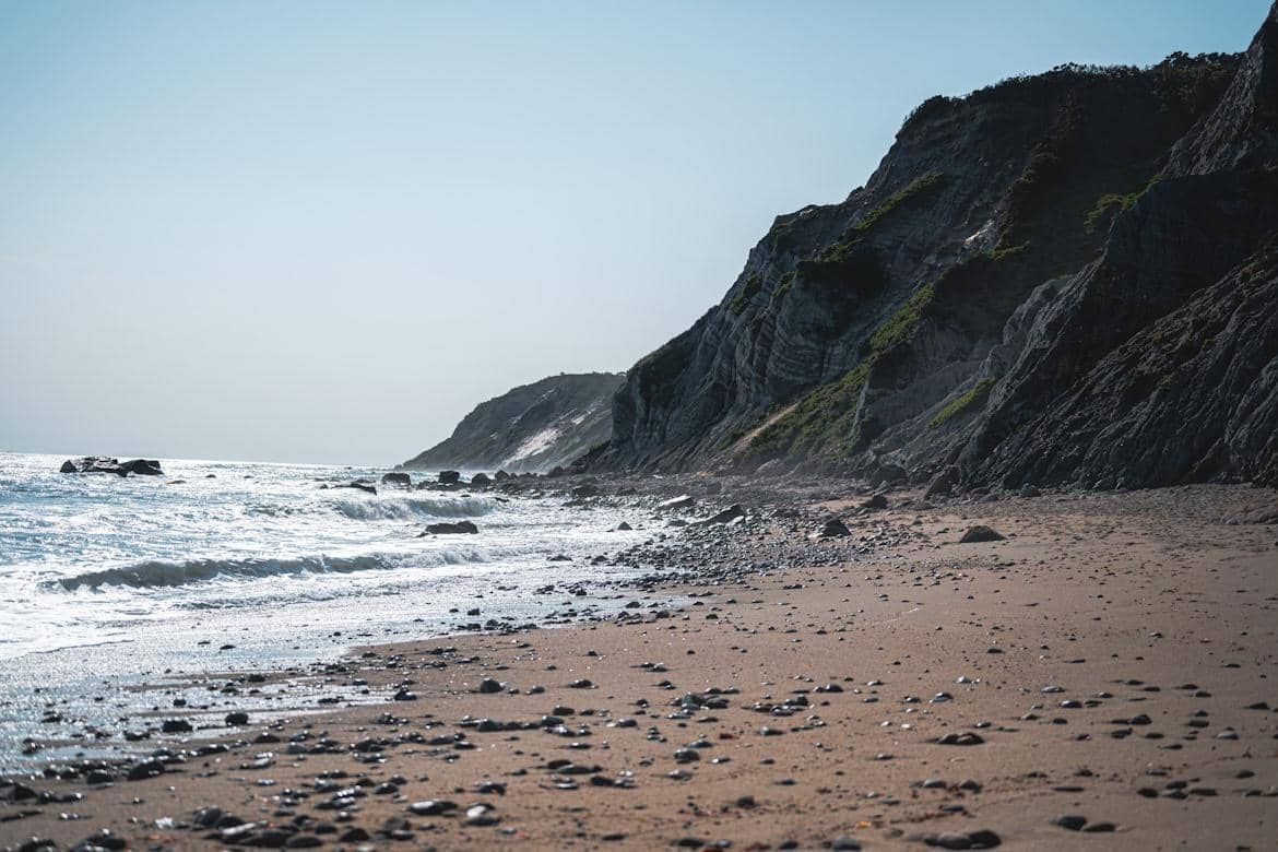 ilustrasi Corn Cove 