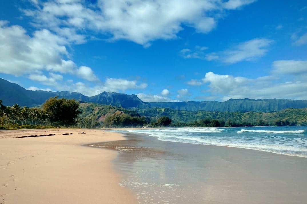 ilustrasi Waikoko Beach