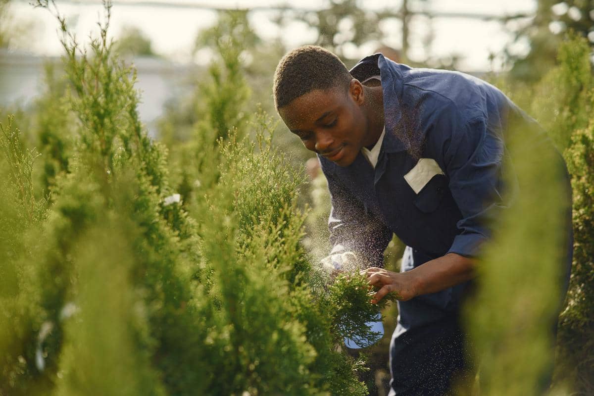 Intip Jobdesk dan Skill Gardener, Gak Semudah yang Dibayangkan!