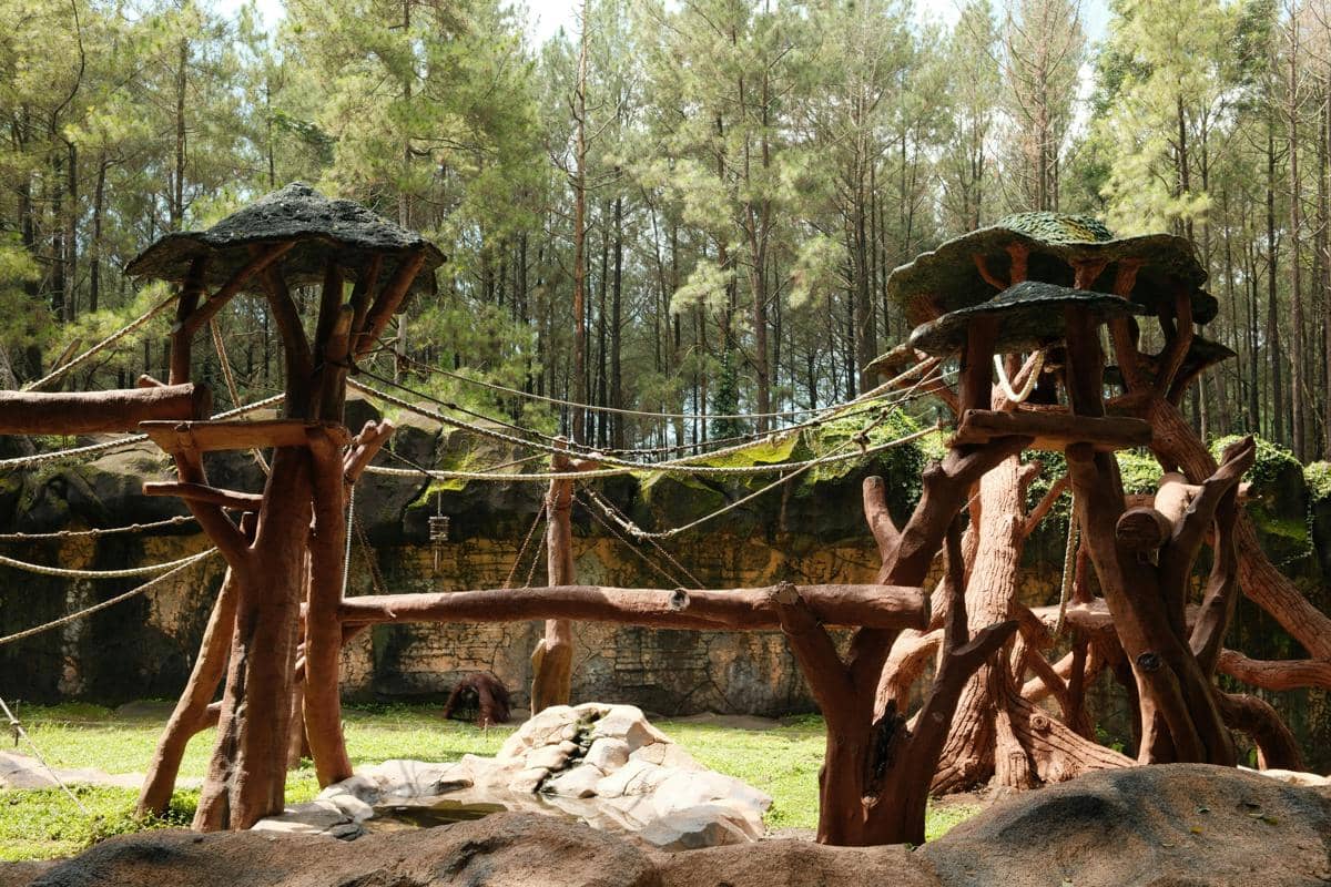 Ilustrasi suasana batu secret zoo dan area wisata edukasi di jawa timur park 2.