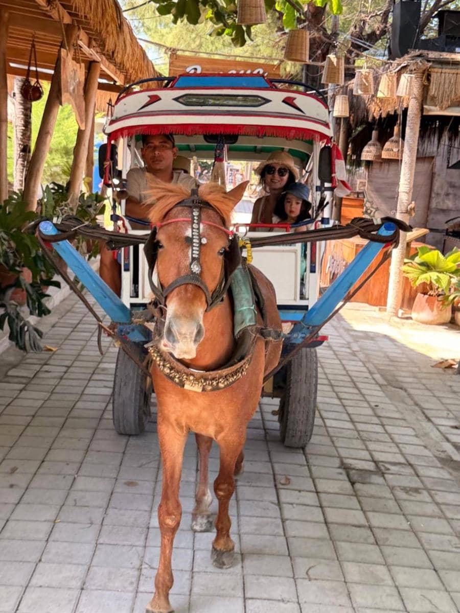 Seorang perempuan dan anak kecil duduk di delman yang ditarik kuda cokelat di jalan berpaving di Lombok, bersama kusir di depan.