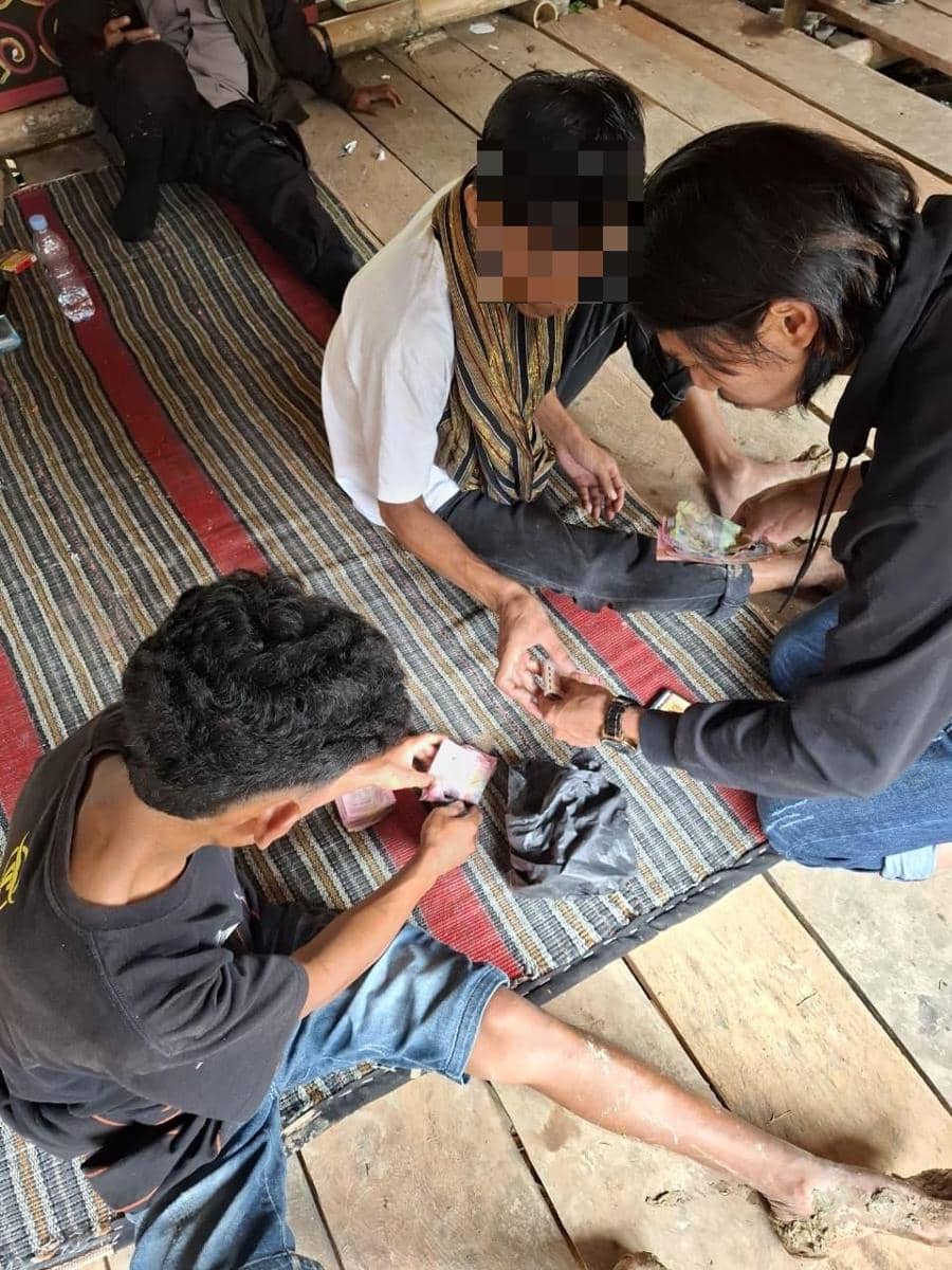 Polisi Tangkap 6 Pelaku Judi Adu Kerbau di Toraja Utara