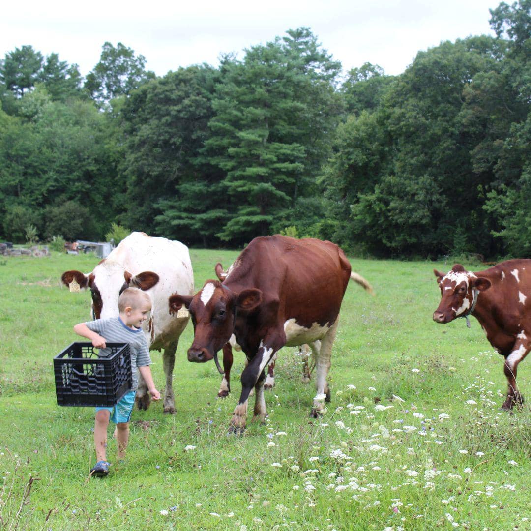 Potret Oake Knoll Farms di Foxborough, Massachusetts