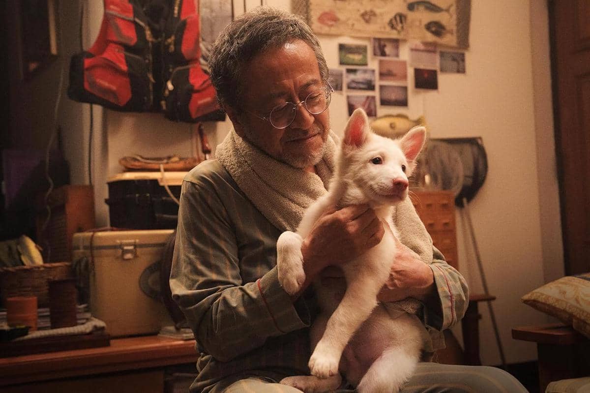 Penilaian Film Gohan, Kisah Satu Anjing dengan Tiga Pemilik Berbeda