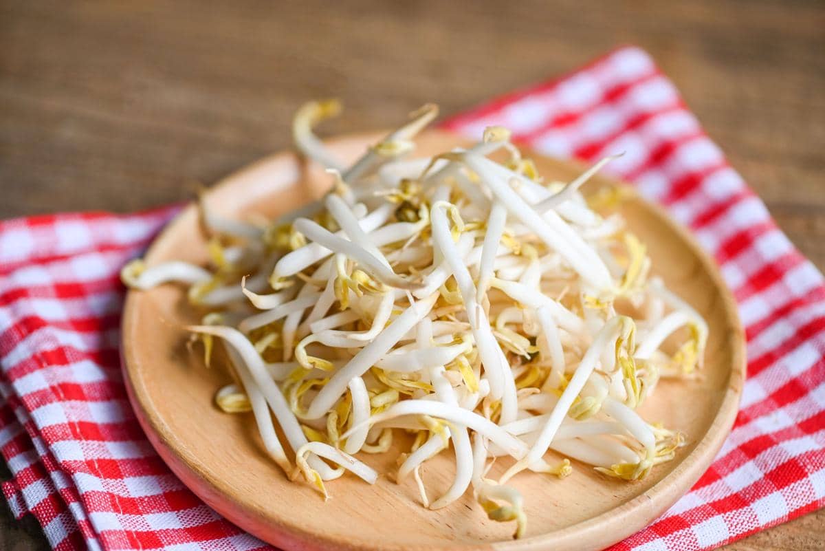 ilustrasi sayur taoge