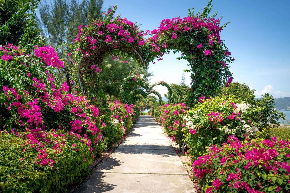 Ilustrasi taman bunga warna-warni dan spot foto di batu love garden.
