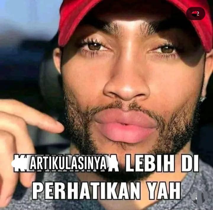 meme cerdas cermat