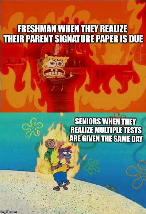 meme SpongeBob tentang tugas
