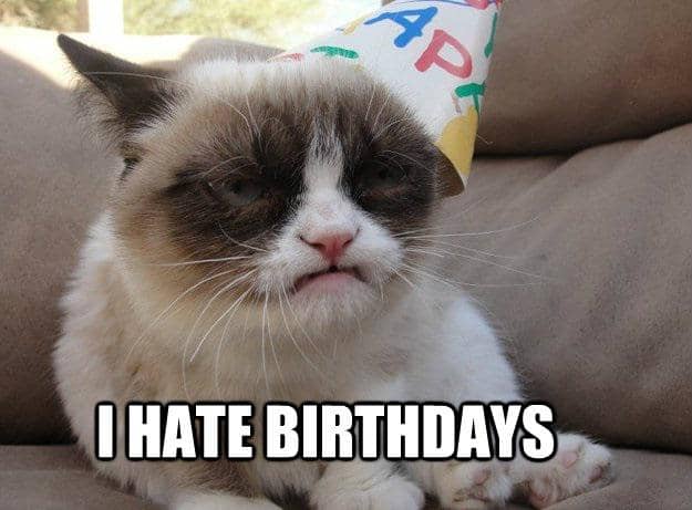 Kucing bermuka masam mengenakan topi ulang tahun dengan teks lucu bertuliskan 'I hate birthdays' di bagian bawah gambar.
