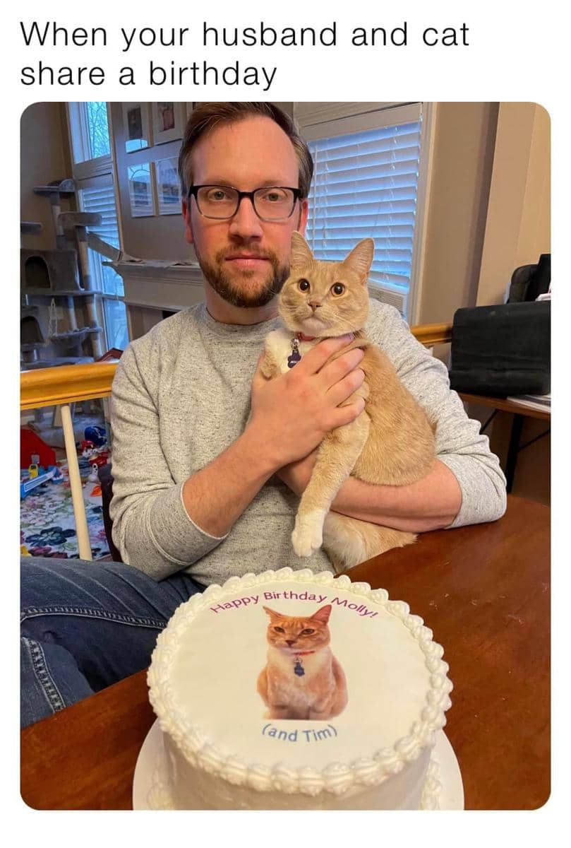 Seorang pria memegang kucing berwarna oranye di meja dengan kue ulang tahun bergambar kucing dan tulisan ucapan ulang tahun.