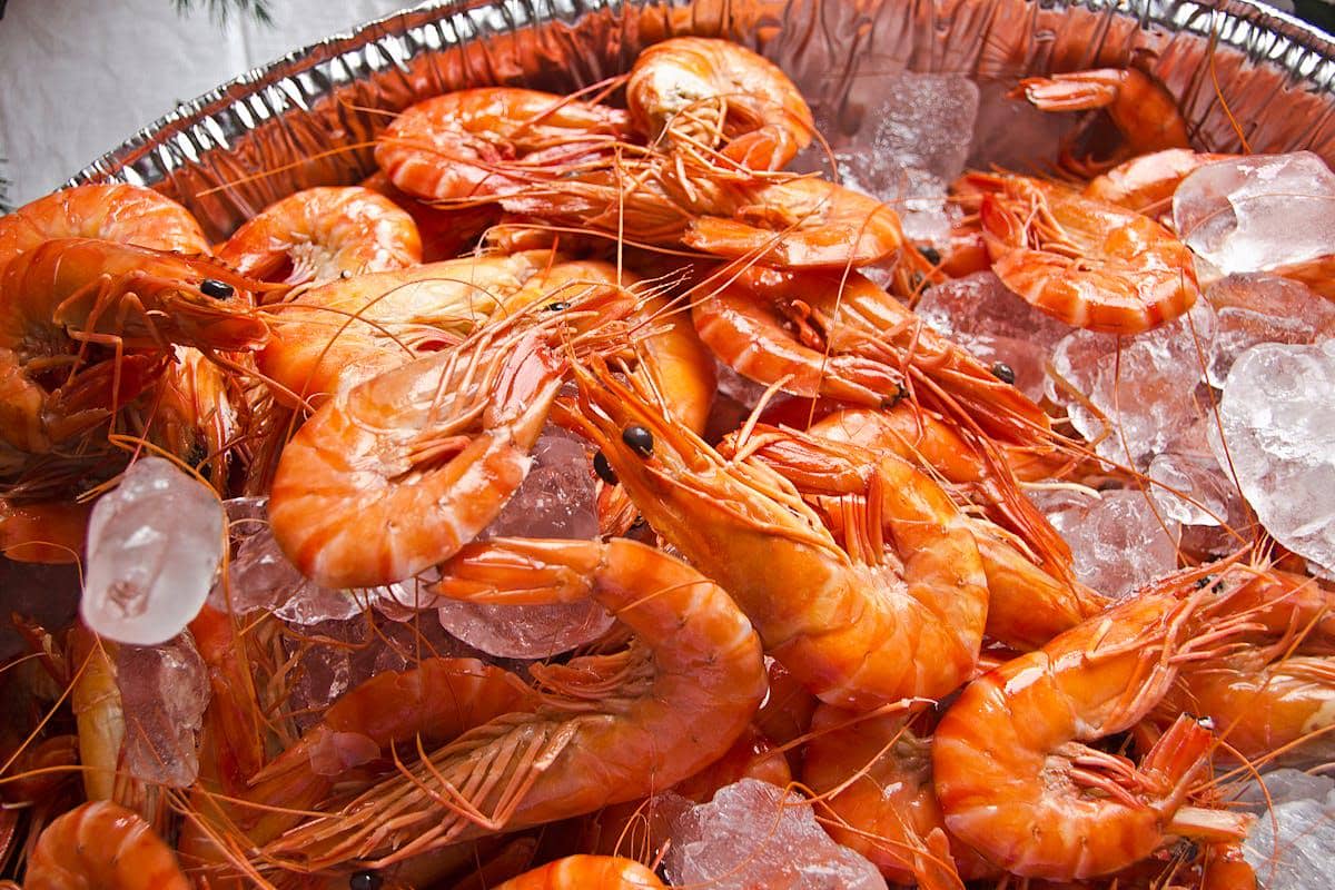 5 Tanda Udang Sudah Gak Segar, Perhatikan Baik-Baik!