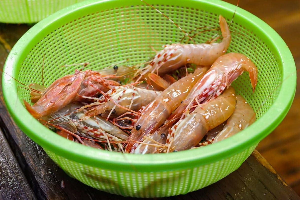 ilustrasi udang segar 