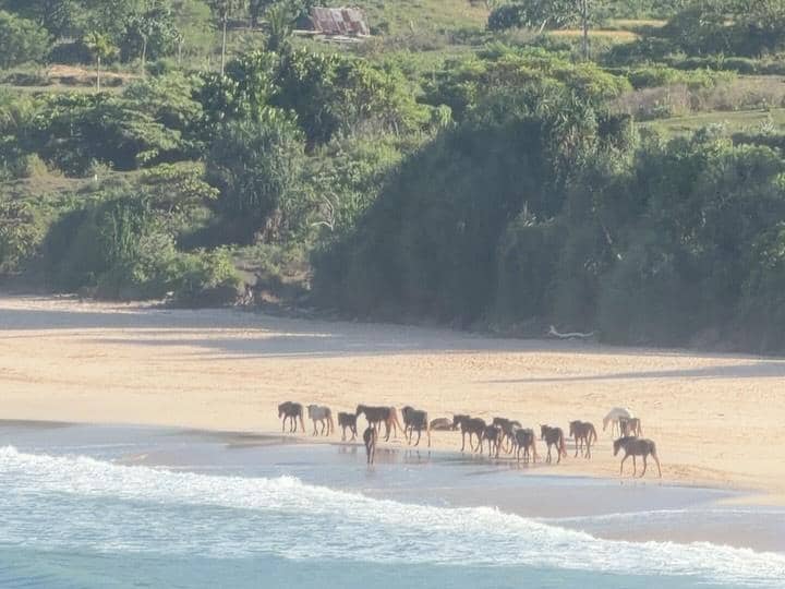 Valerie Thomas liburan di Pulau Sumba