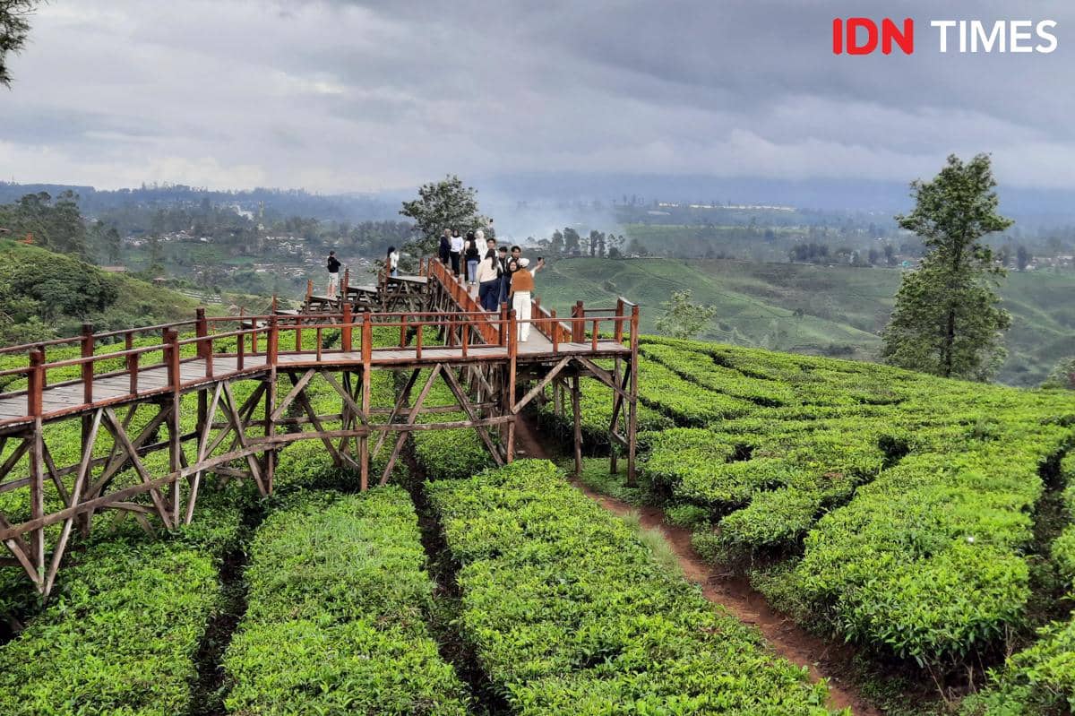 5 Aktivitas Seru di Sunrise Point Cukul dengan View Kebun Teh