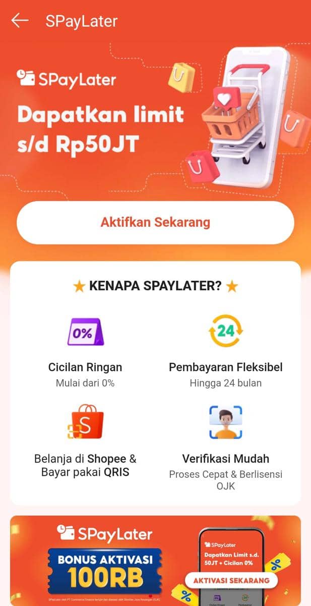 PayLater