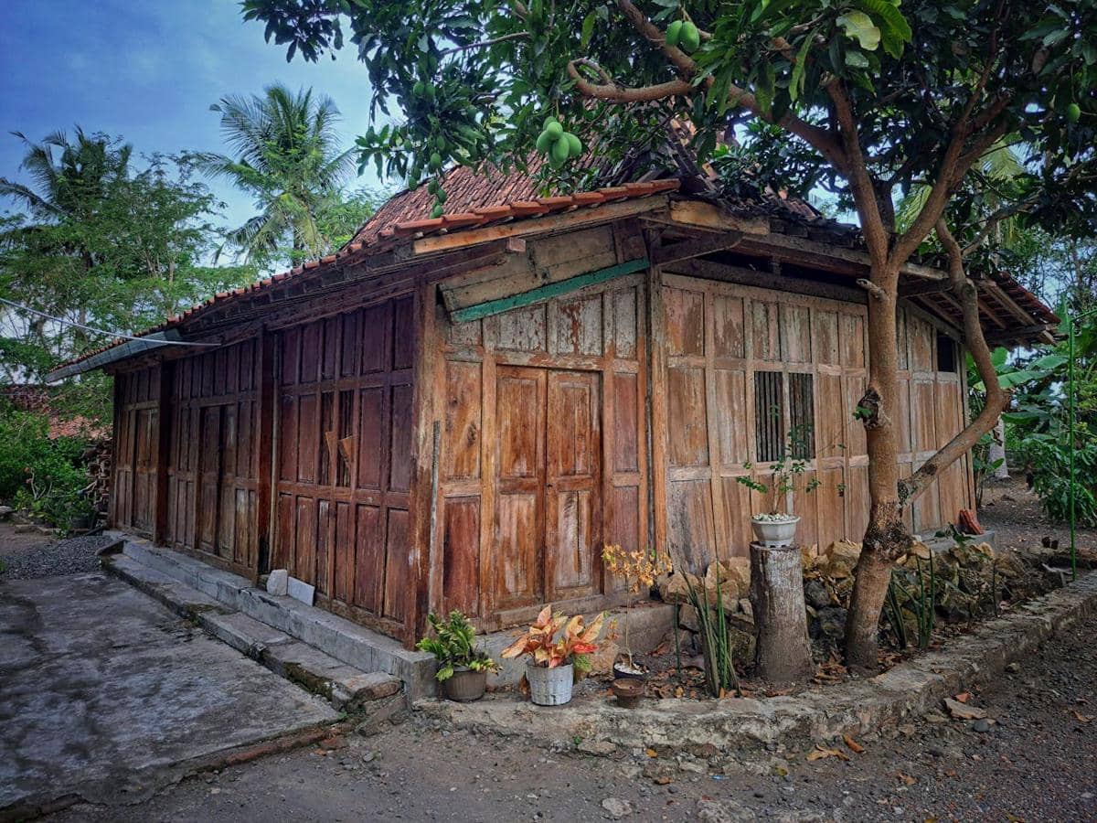 rumah