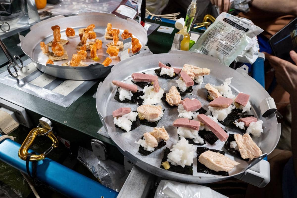 potret cocktail udang untuk dinner astronaut NASA