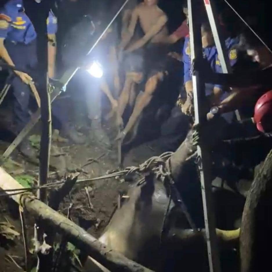 Kerbau 300 Kg Masuk Sumur, Damkarmat Balam Evakuasi Lima Jam