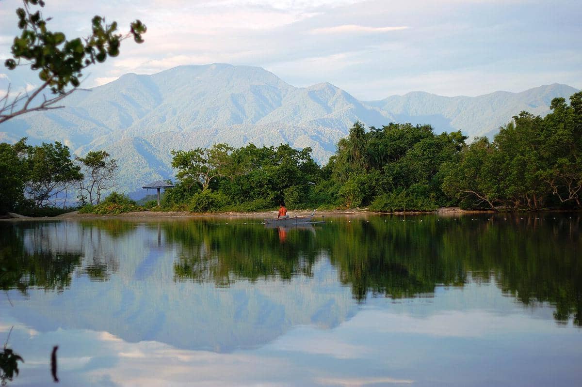 Gunung Arfak
