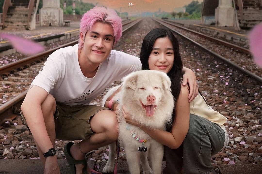 Dua remaja berpose bersama anjing berbulu putih di rel kereta api yang dipenuhi kelopak bunga berwarna merah muda saat senja.