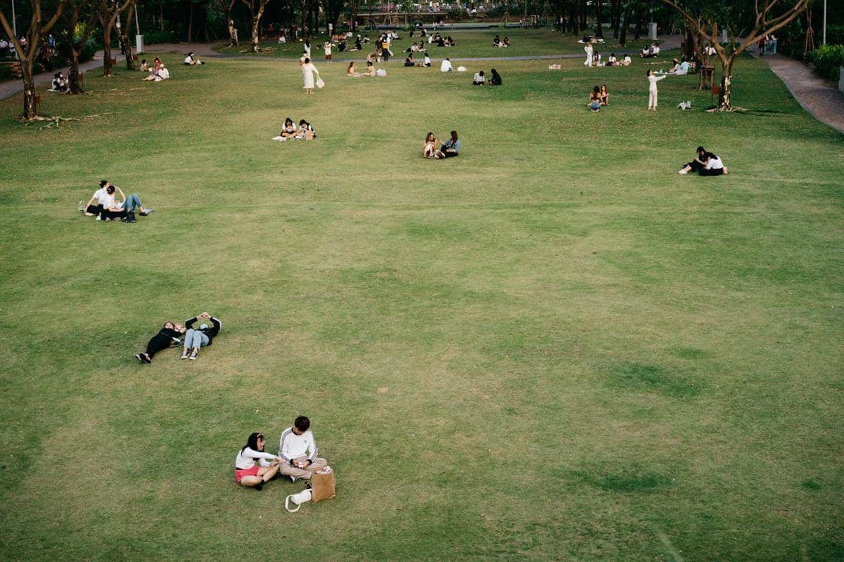 Ilustrasi taman kota