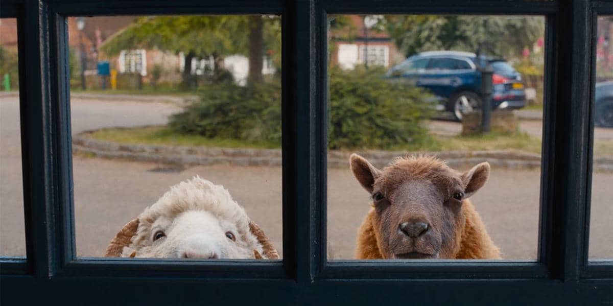 The Sheep Detectives 5.jpg