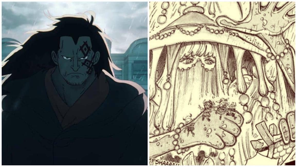 Kemungkinan Hubungan Dewa Hujan Zaza dan Monkey D. Dragon One Piece!