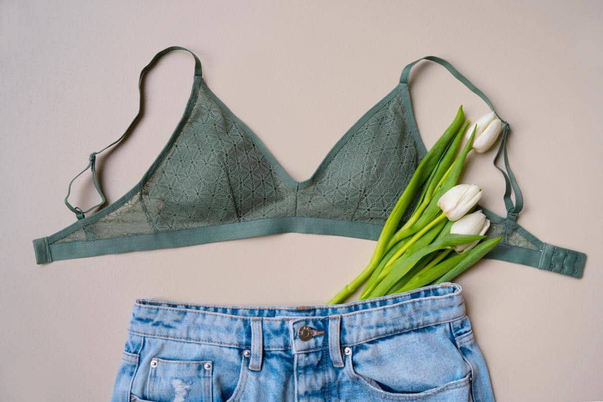ilustrasi model bra