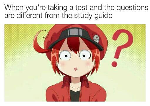 meme anime tentang dosen