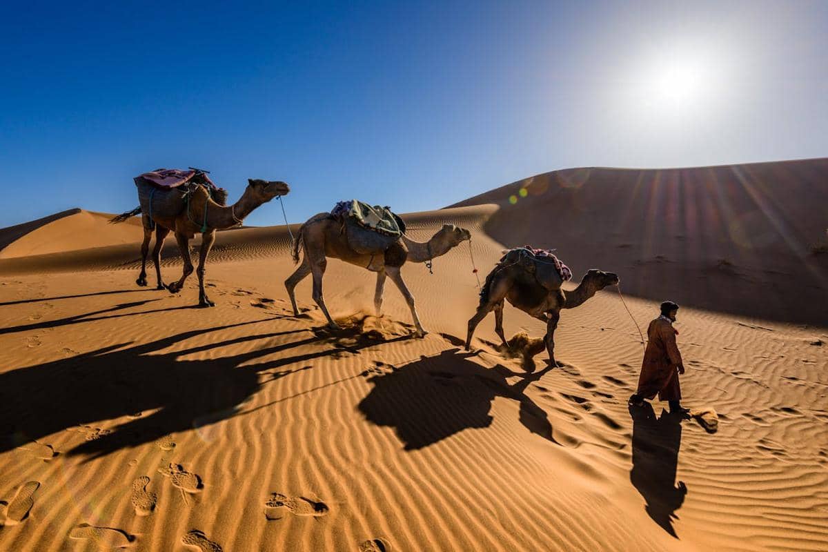 ilustrasi Gurun Sahara